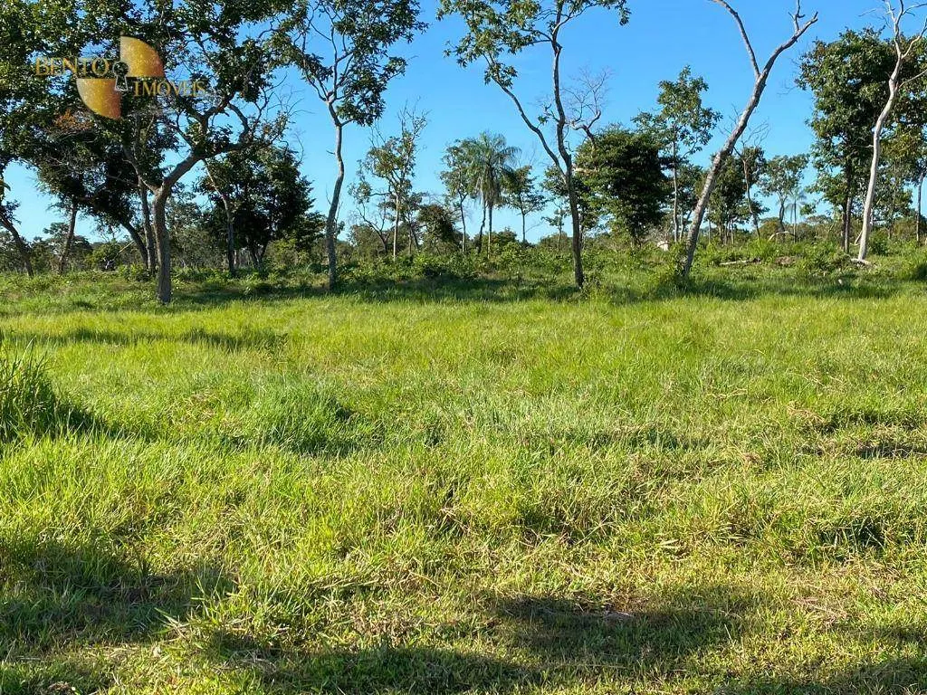 Fazenda à venda de 609 ha em Poconé, MT, Brasil