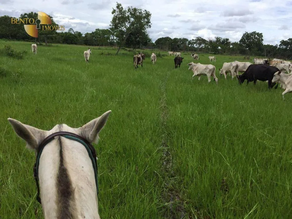 Fazenda à venda de 609 ha em Poconé, MT, Brasil