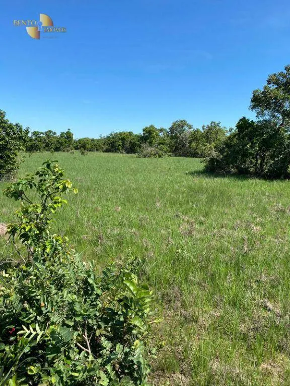 Fazenda à venda de 609 ha em Poconé, MT, Brasil