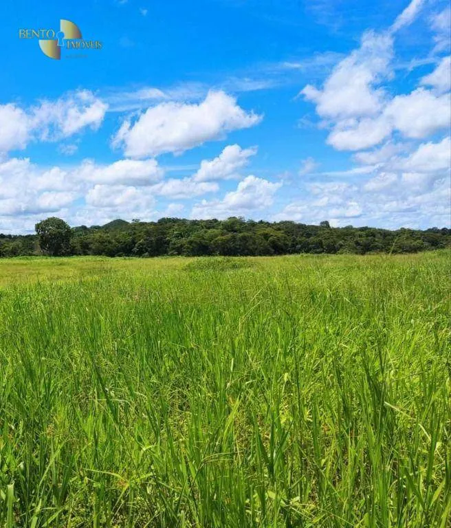 Fazenda à venda de 317 ha em Rosário Oeste, MT, Brasil