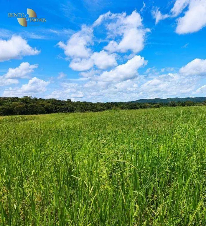 Fazenda à venda de 317 ha em Rosário Oeste, MT, Brasil