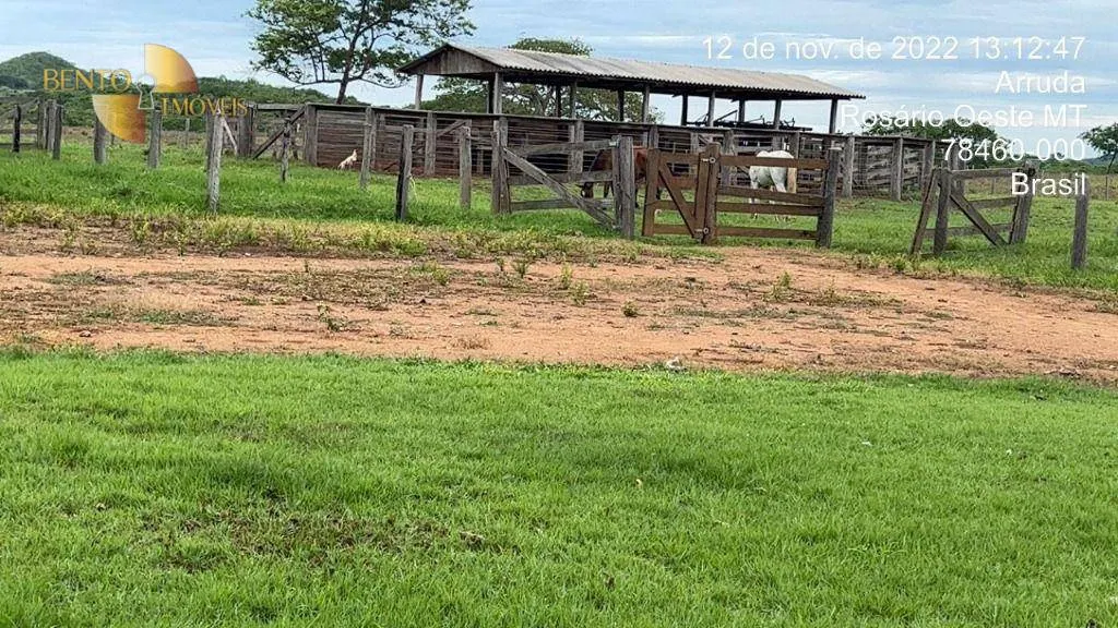 Fazenda à venda de 317 ha em Rosário Oeste, MT, Brasil