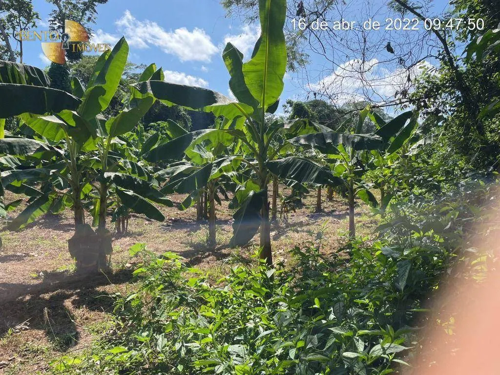 Fazenda à venda de 317 ha em Rosário Oeste, MT, Brasil
