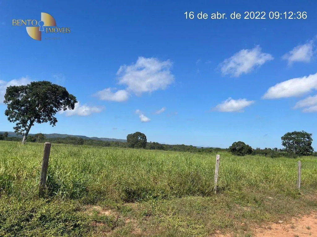 Fazenda à venda de 317 ha em Rosário Oeste, MT, Brasil