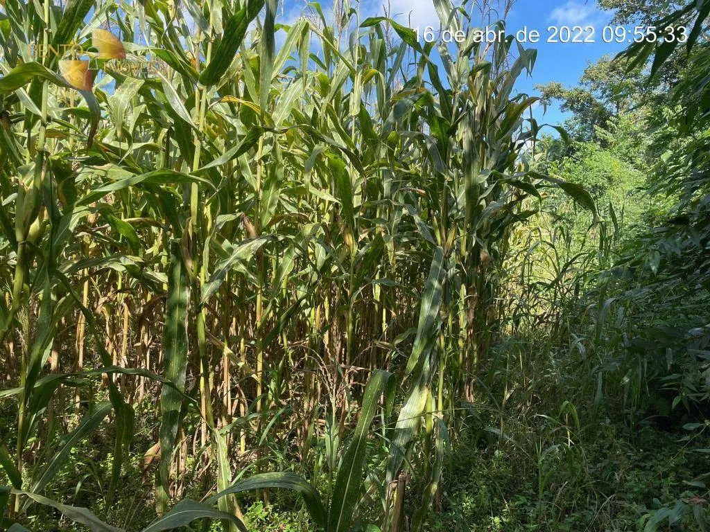 Fazenda à venda de 317 ha em Rosário Oeste, MT, Brasil