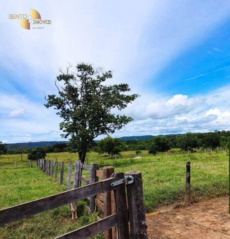 Fazenda à venda de 317 ha em Rosário Oeste, MT, Brasil