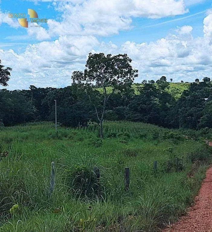 Fazenda à venda de 317 ha em Rosário Oeste, MT, Brasil