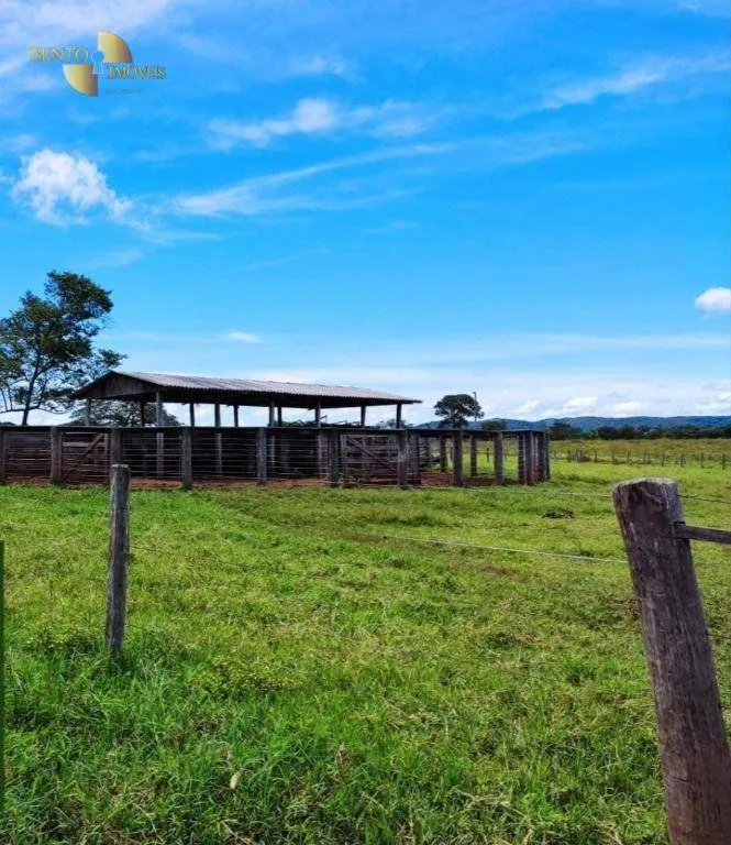 Fazenda à venda de 317 ha em Rosário Oeste, MT, Brasil
