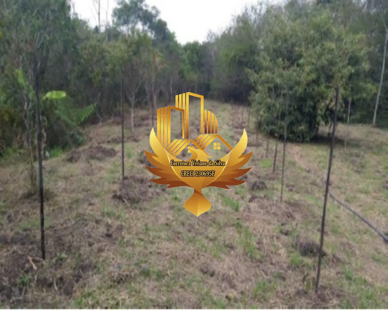 Terreno à venda de 2 ha em Tremembé, SP, Brasil