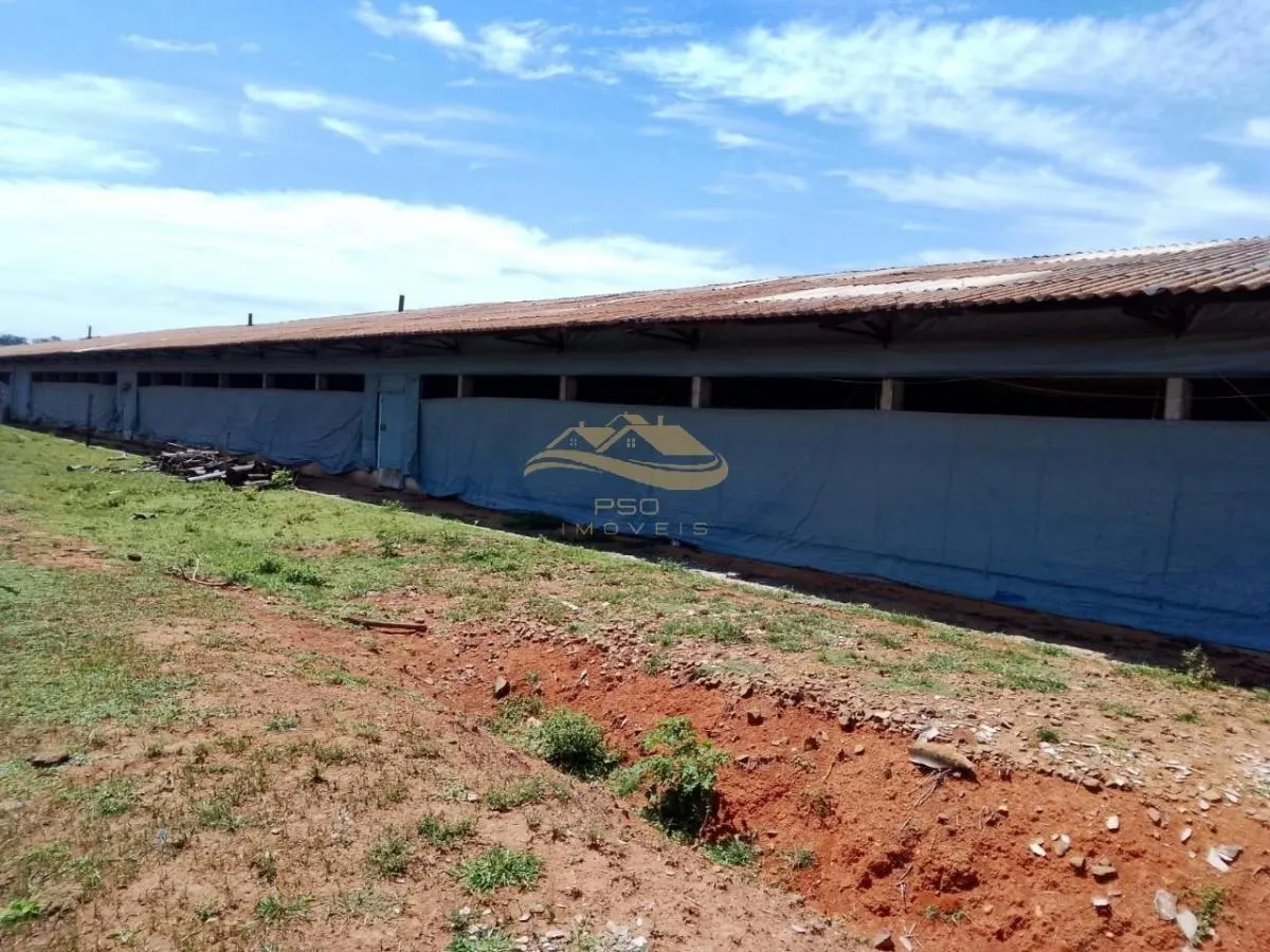 Small farm for sale of 11 acres in Elias Fausto, SP, Brazil
