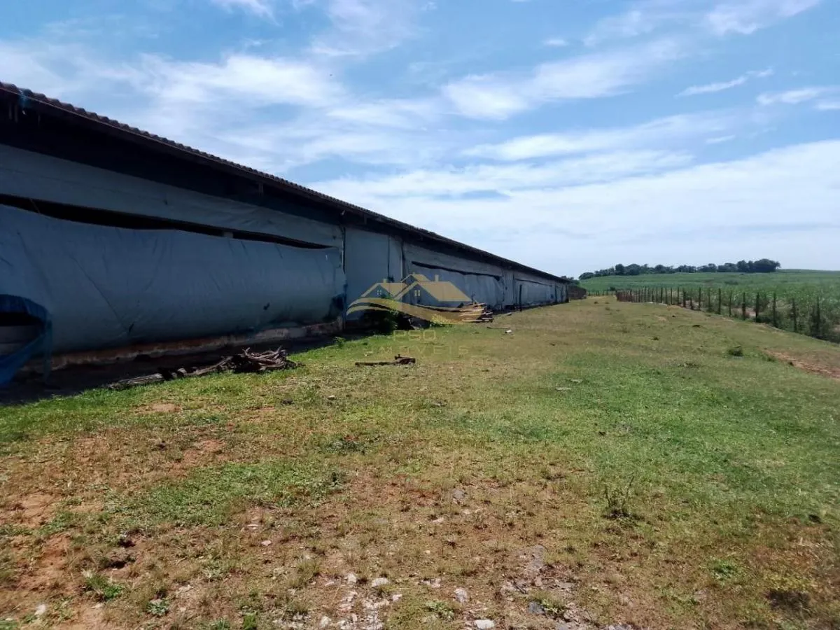 Small farm for sale of 11 acres in Elias Fausto, SP, Brazil