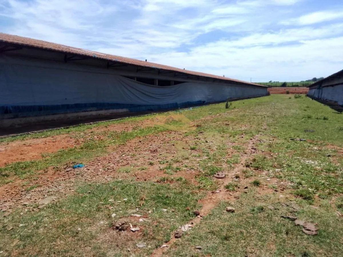 Small farm for sale of 11 acres in Elias Fausto, SP, Brazil