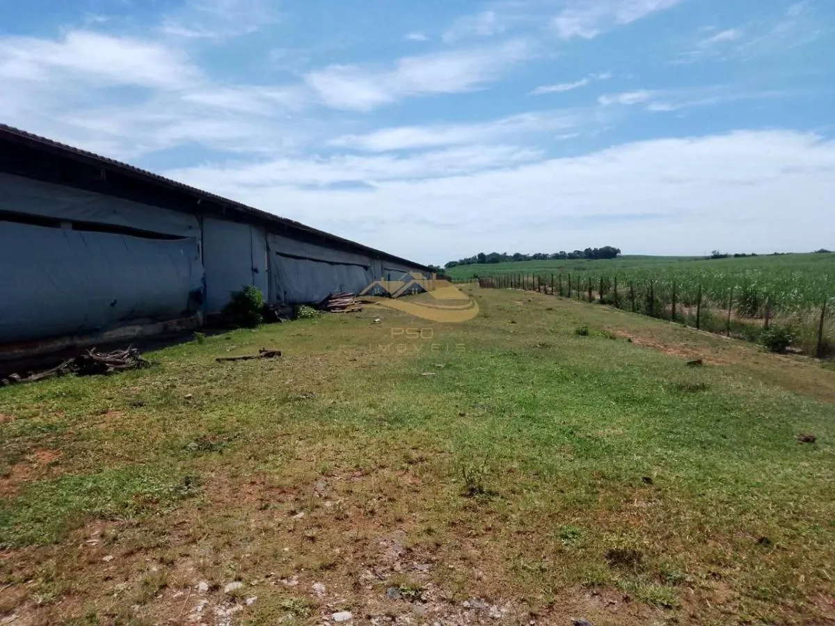 Small farm for sale of 11 acres in Elias Fausto, SP, Brazil