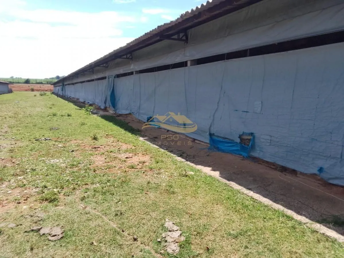 Small farm for sale of 11 acres in Elias Fausto, SP, Brazil