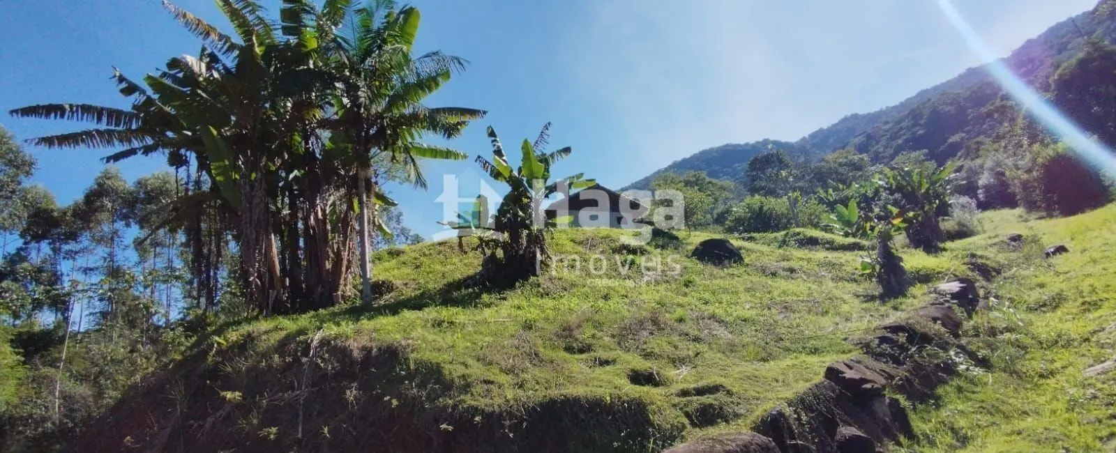 Fazenda à venda de 2.000 m² em Nova Trento, SC, Brasil