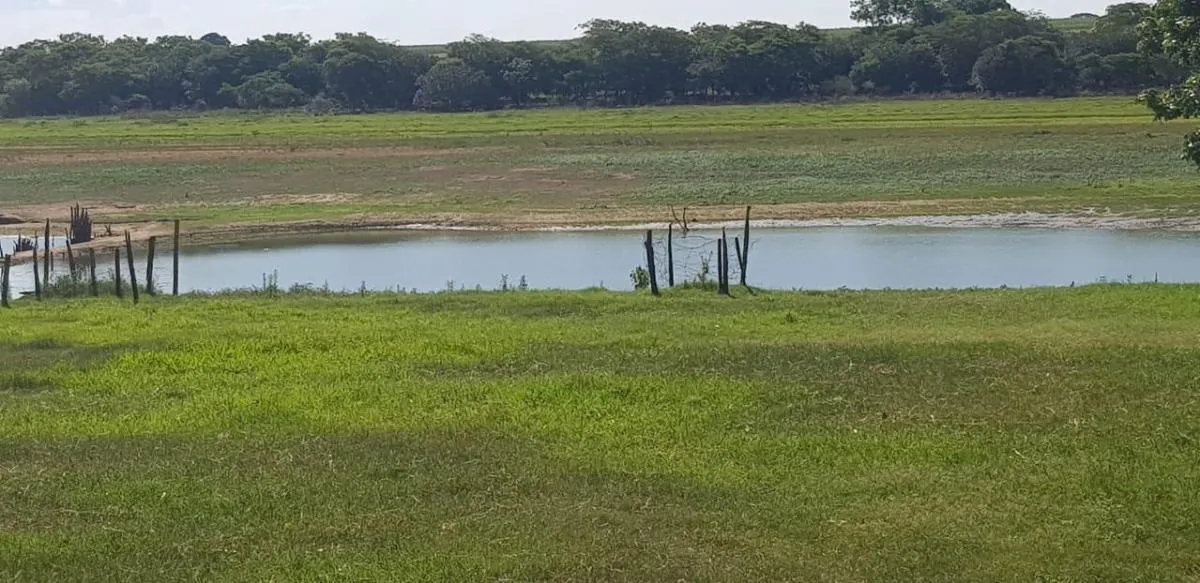 Fazenda à venda de 205 ha em Jales, SP, Brasil