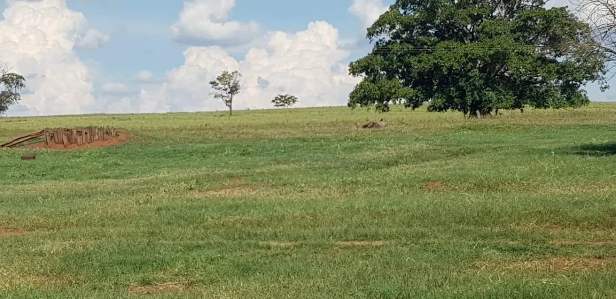Fazenda à venda de 205 ha em Jales, SP, Brasil