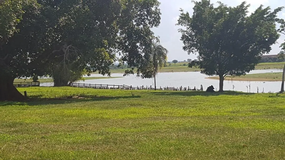 Fazenda à venda de 205 ha em Jales, SP, Brasil