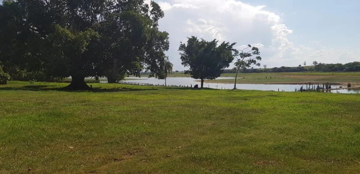 Fazenda à venda de 205 ha em Jales, SP, Brasil