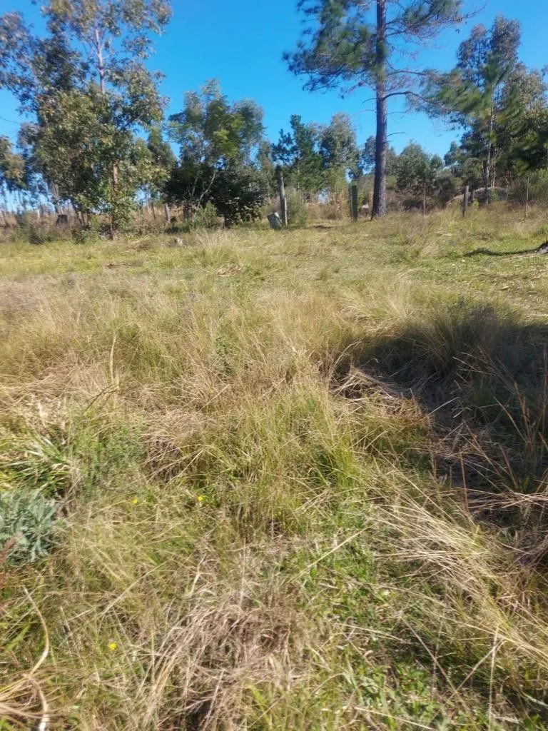 Terreno à venda de 2.248 m² em Eldorado do Sul, RS, Brasil