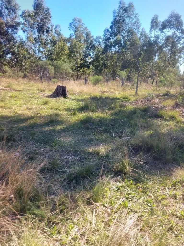 Terreno à venda de 2.248 m² em Eldorado do Sul, RS, Brasil