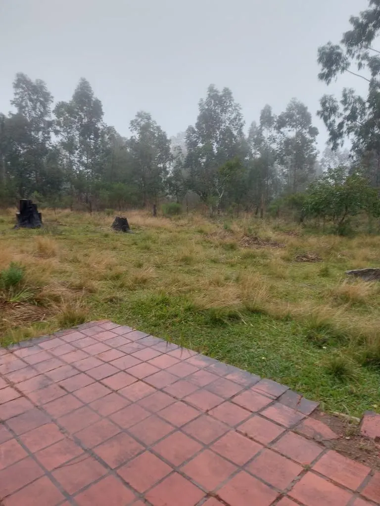 Terreno à venda de 2.248 m² em Eldorado do Sul, RS, Brasil