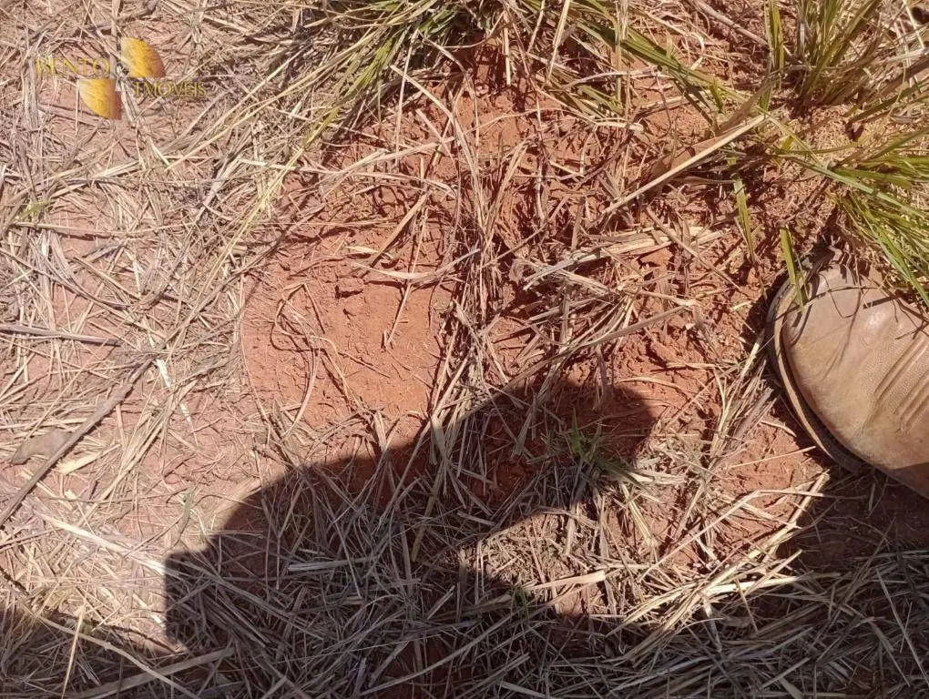 Farm for sale of 5,177 acres in Nova Mutum, MT, Brazil