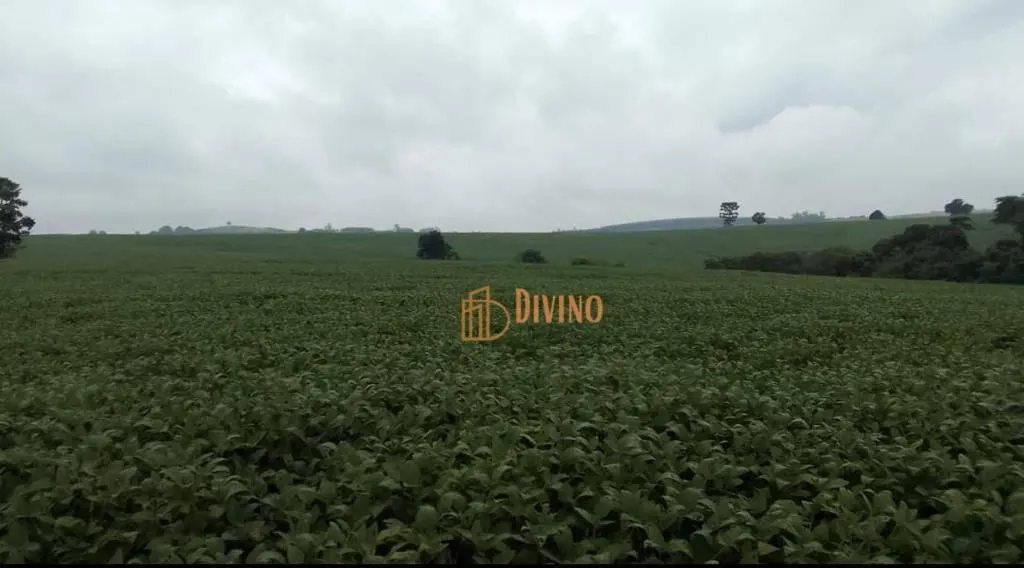 Fazenda à venda de 119 ha em Itapetininga, SP, Brasil