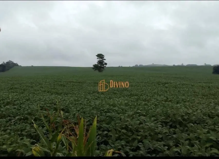 Fazenda à venda de 119 ha em Itapetininga, SP, Brasil