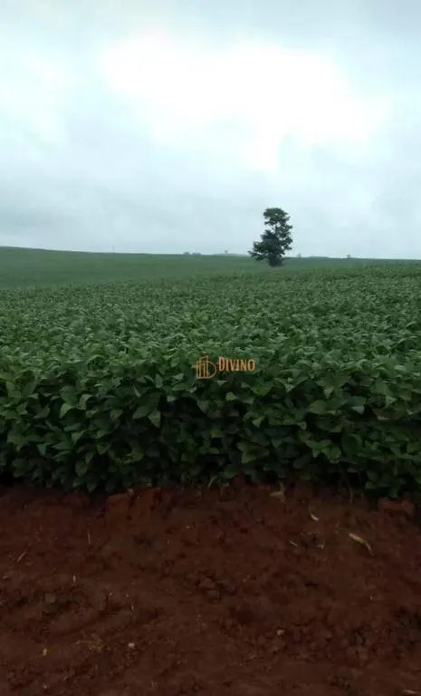 Fazenda à venda de 119 ha em Itapetininga, SP, Brasil