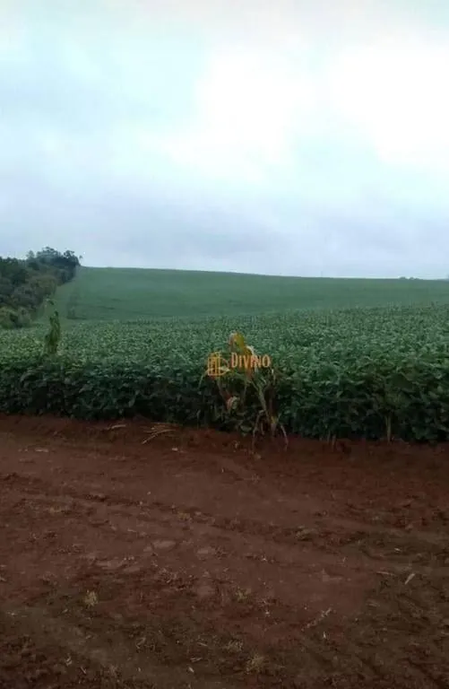 Fazenda à venda de 119 ha em Itapetininga, SP, Brasil