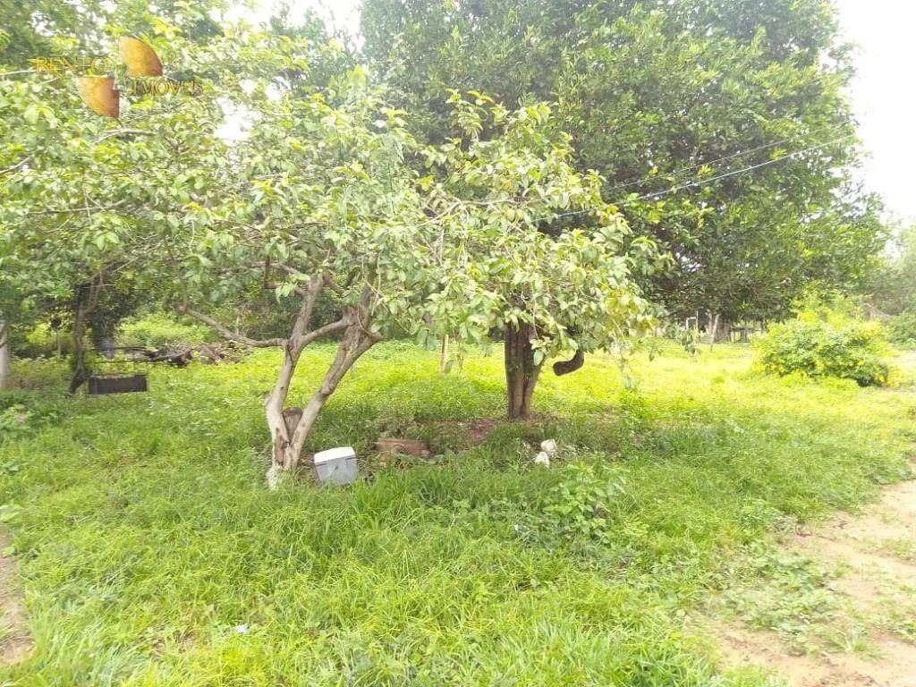 Farm for sale of 1,483 acres in Chapada dos Guimarães, MT, Brazil