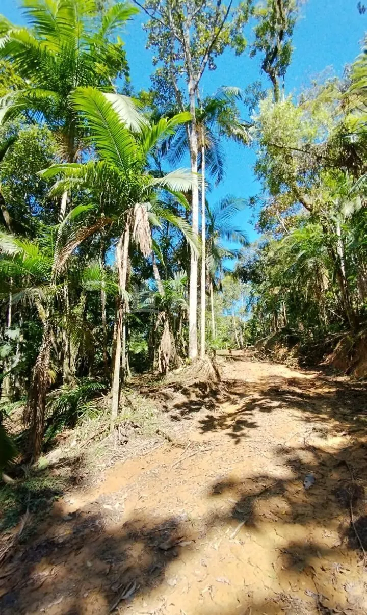 Terreno à venda de 3 ha em Nova Trento, SC, Brasil