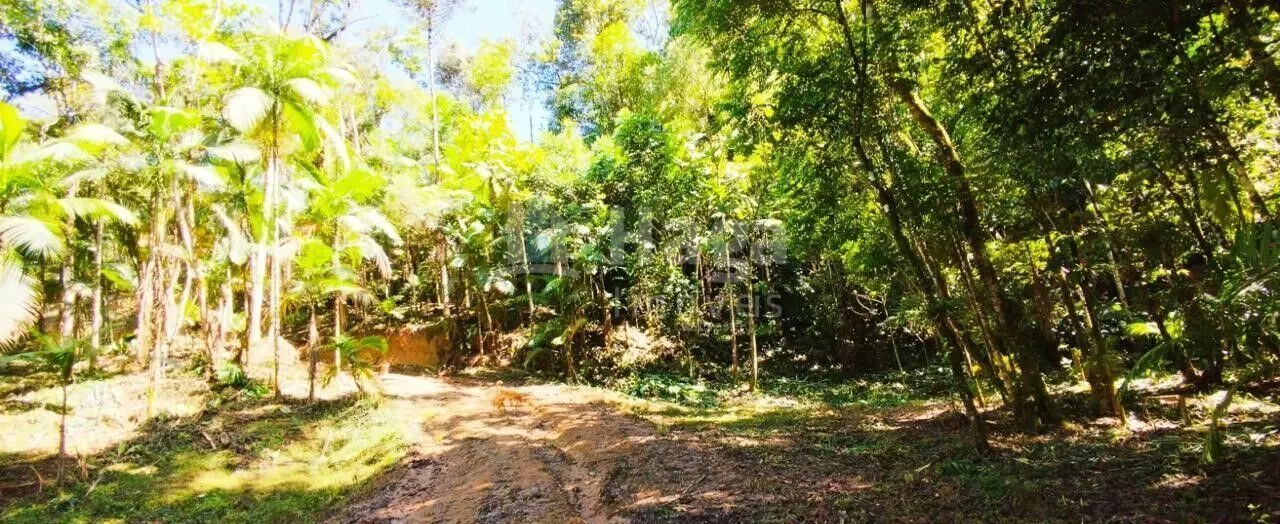 Terreno à venda de 3 ha em Nova Trento, SC, Brasil