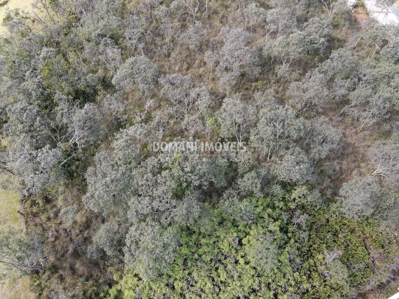 Terreno à venda de 1.250 m² em Campos do Jordão, SP, Brasil