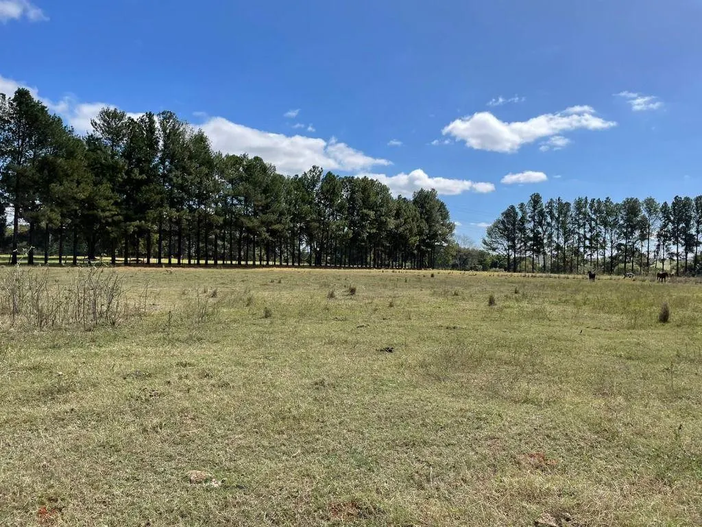 Fazenda à venda de 21.000 ha em São José do Rio Preto, SP, Brasil
