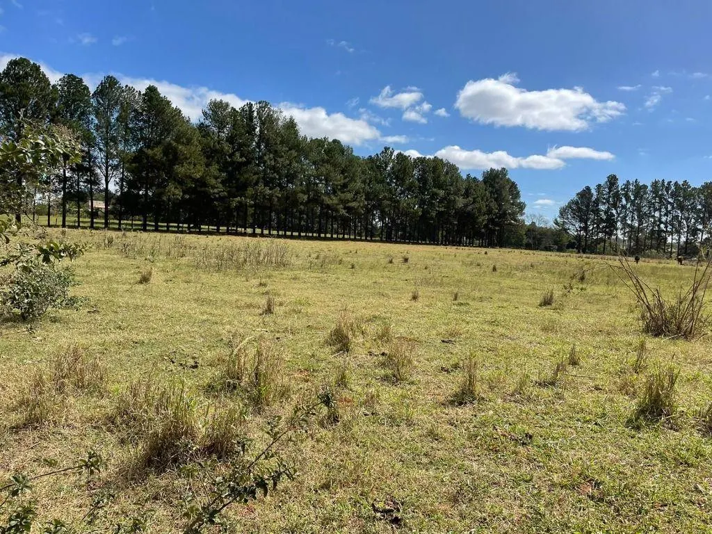 Fazenda à venda de 21.000 ha em São José do Rio Preto, SP, Brasil