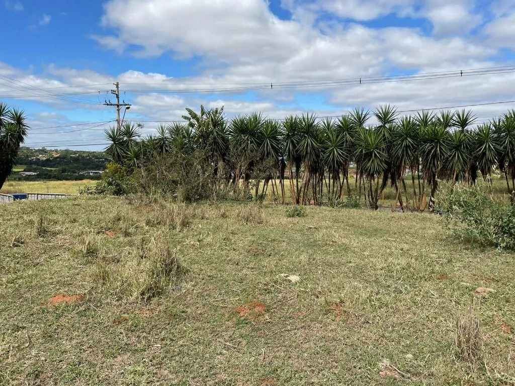 Fazenda à venda de 21.000 ha em São José do Rio Preto, SP, Brasil