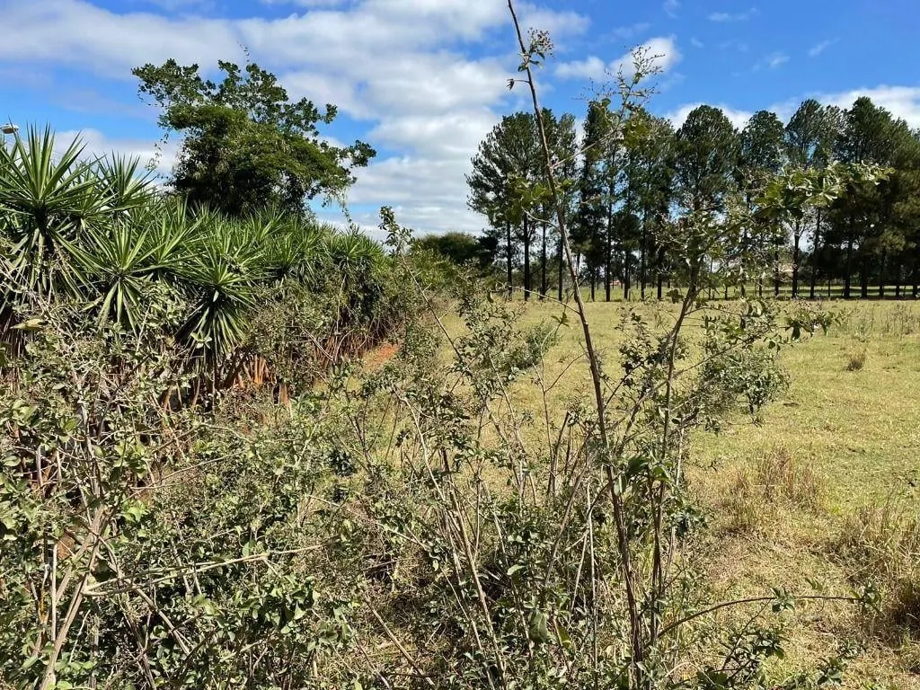 Fazenda à venda de 21.000 ha em São José do Rio Preto, SP, Brasil