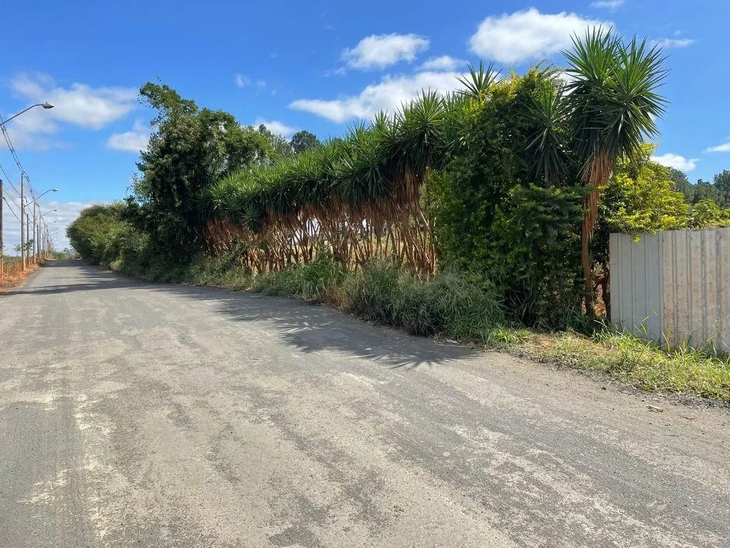 Fazenda à venda de 21.000 ha em São José do Rio Preto, SP, Brasil