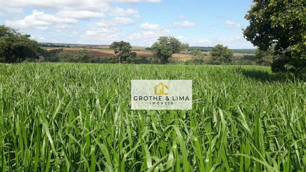 Fazenda à venda de 1.767 ha em Água Clara, MS, Brasil