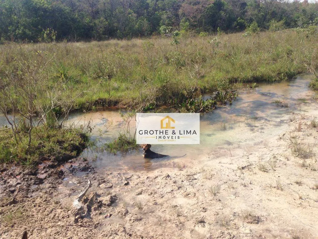 Fazenda à venda de 1.767 ha em Água Clara, MS, Brasil
