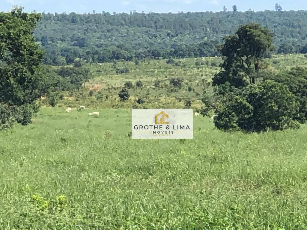 Fazenda à venda de 1.767 ha em Água Clara, MS, Brasil