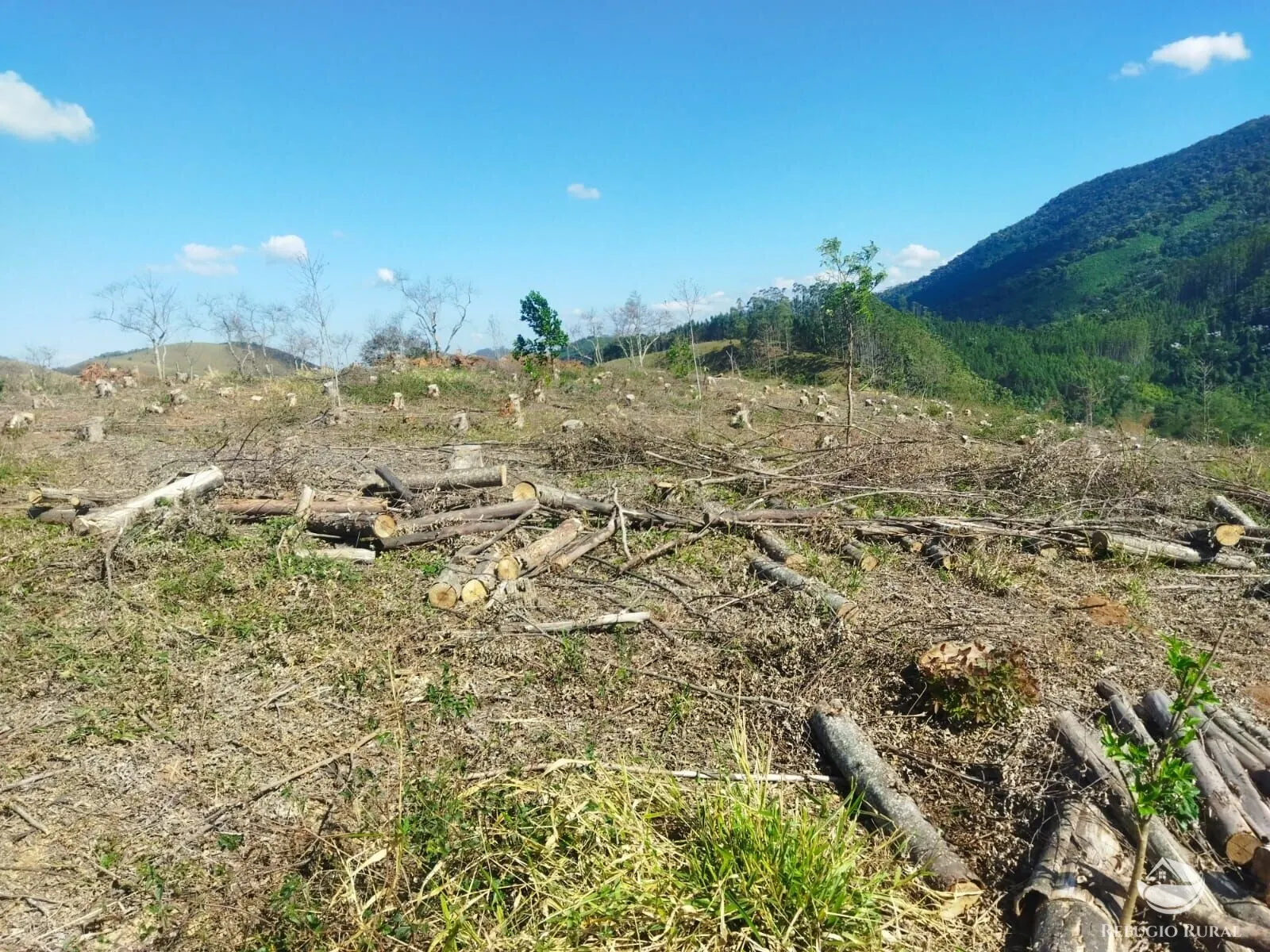 Terreno à venda de 4 ha em Monteiro Lobato, SP, Brasil