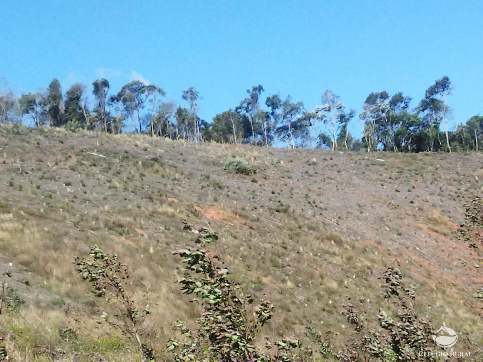 Terreno à venda de 4 ha em Monteiro Lobato, SP, Brasil