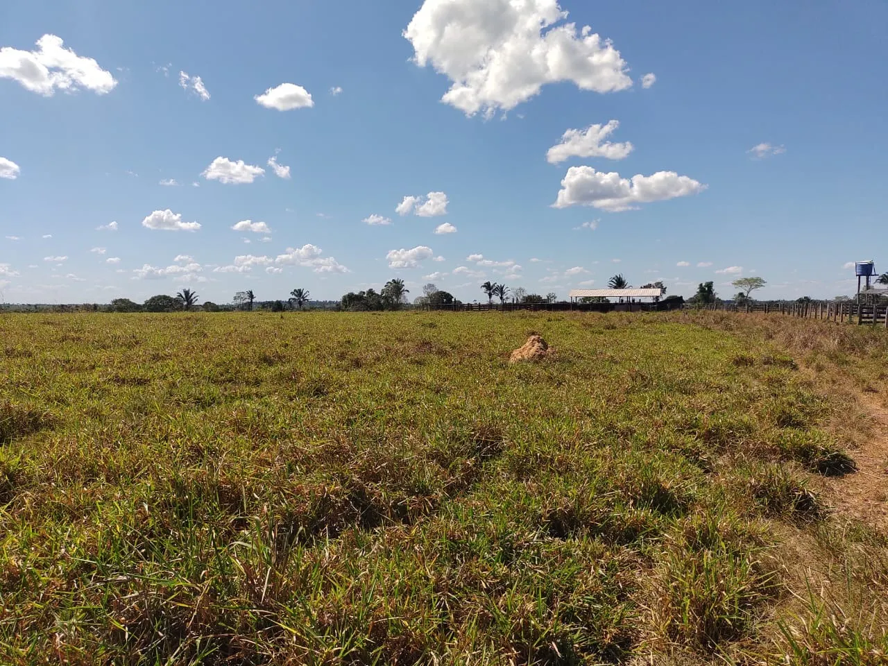 Fazenda à venda de 811 ha em Araguaína, TO, Brasil