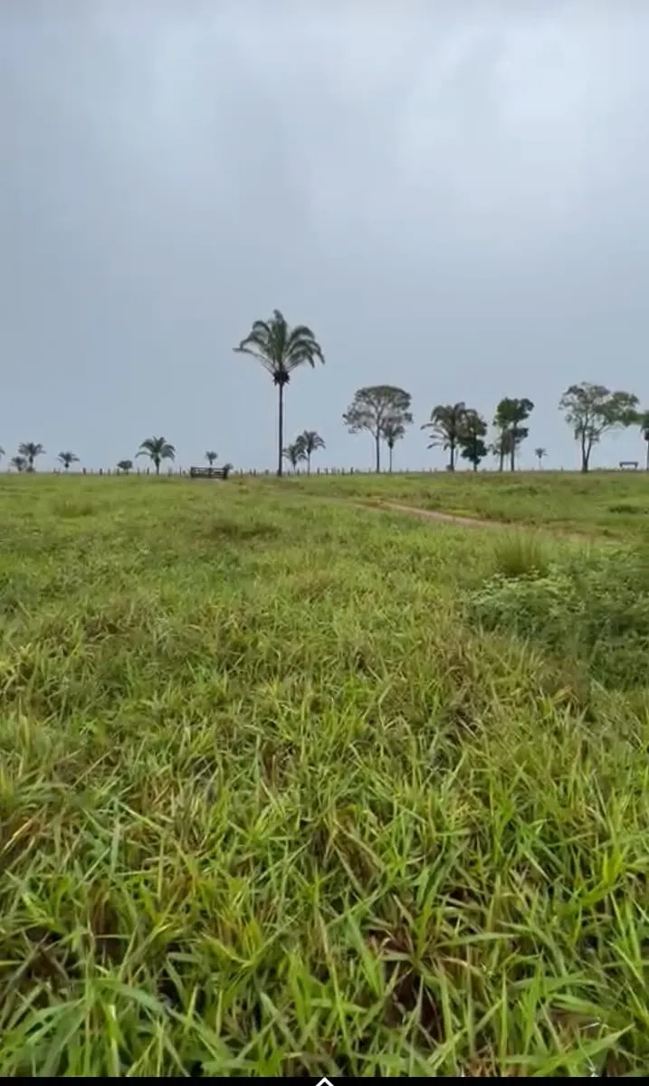 Fazenda à venda de 811 ha em Araguaína, TO, Brasil