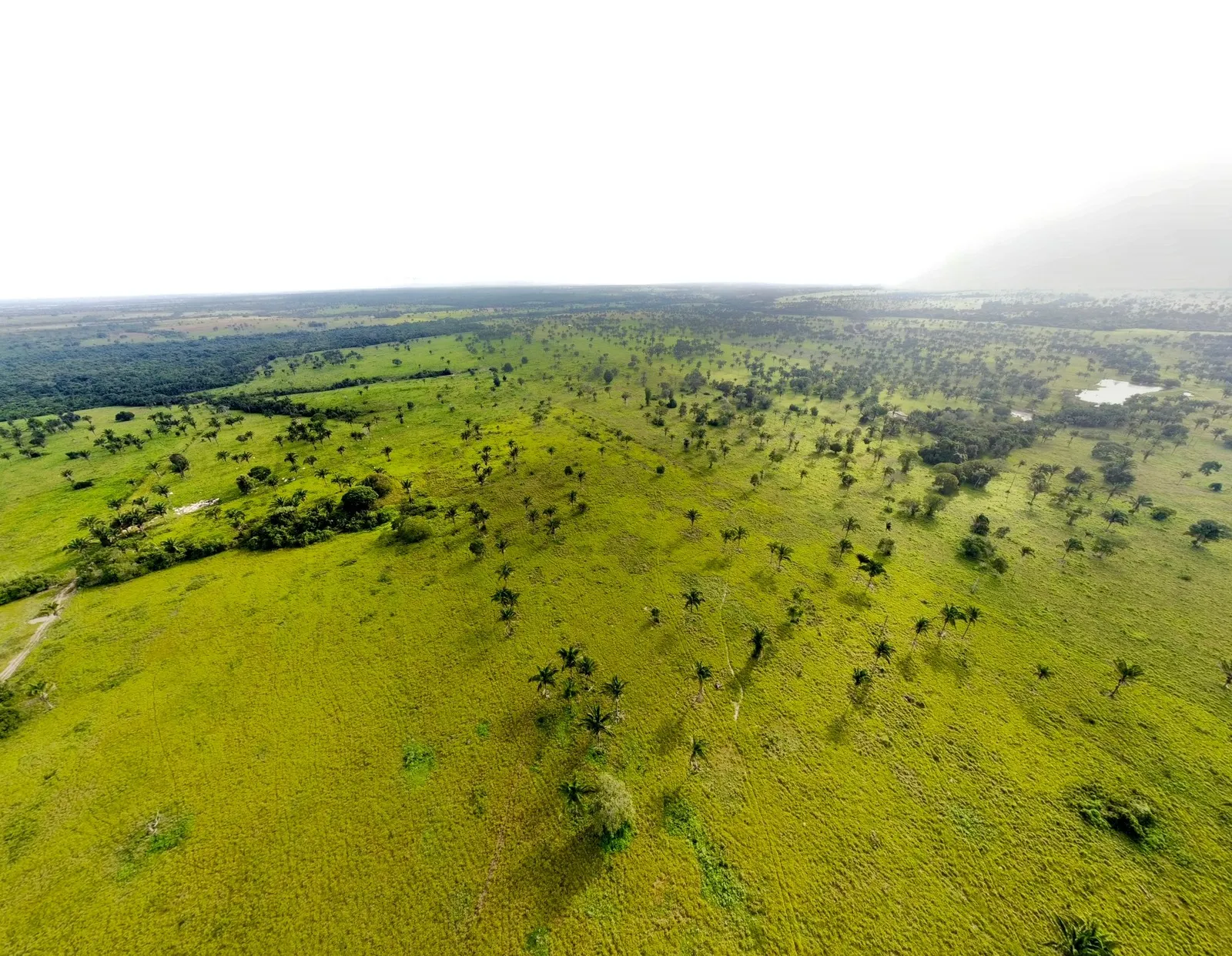 Fazenda à venda de 811 ha em Araguaína, TO, Brasil