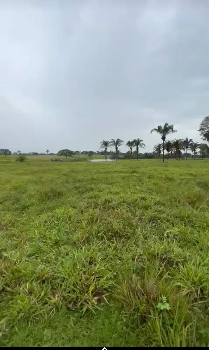 Fazenda à venda de 811 ha em Araguaína, TO, Brasil