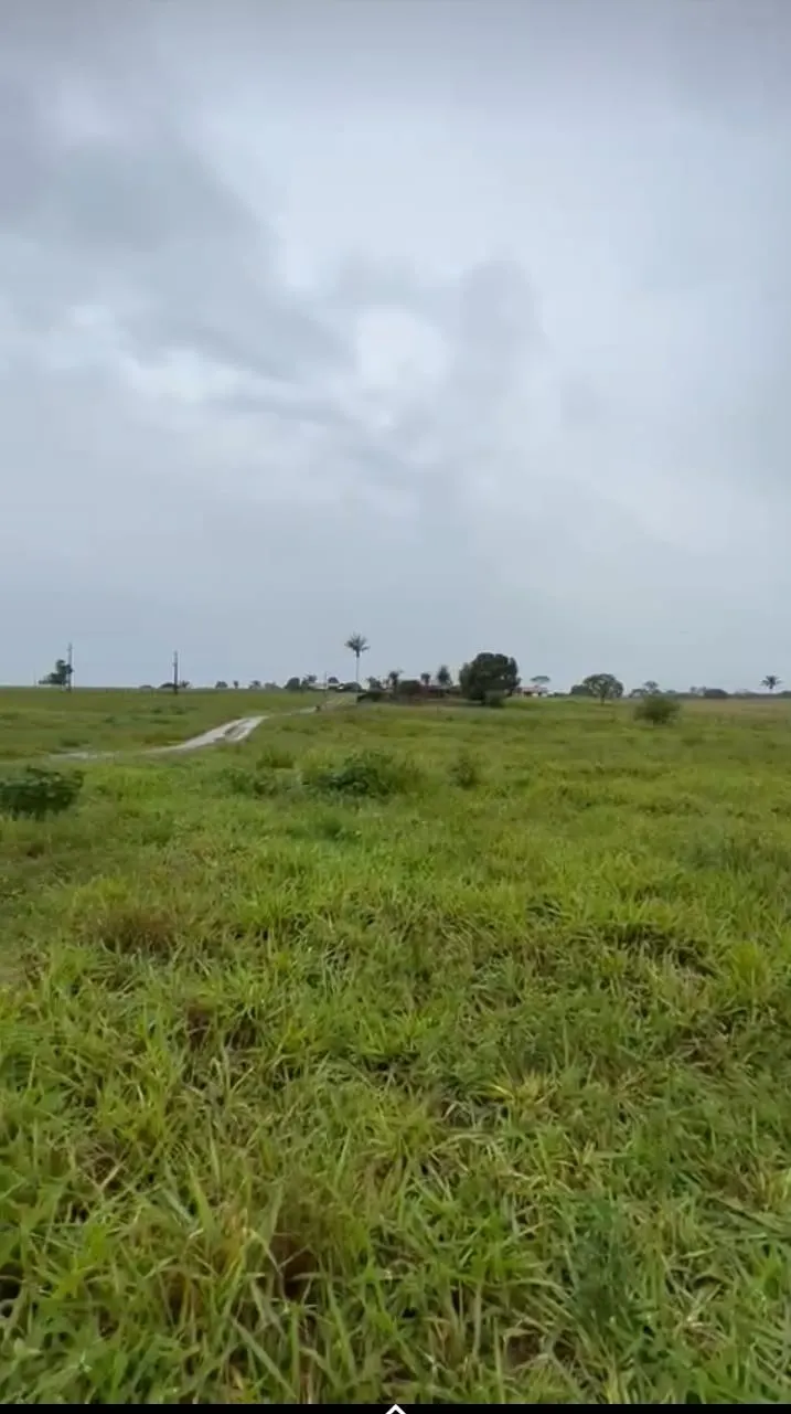 Fazenda à venda de 811 ha em Araguaína, TO, Brasil